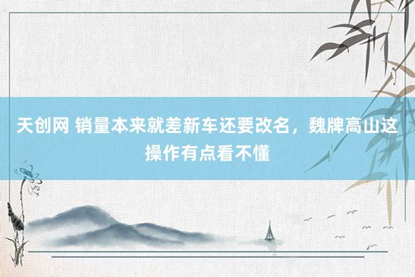 天创网 销量本来就差新车还要改名，魏牌高山这操作有点看不懂