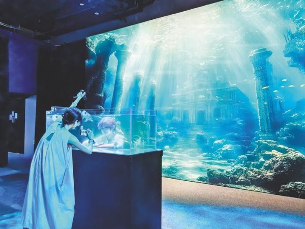 日昇配资 钻进金字塔内考古 飞上武当云海漫步