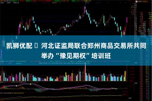 凯狮优配 ​河北证监局联合郑州商品交易所共同举办“豫见期权”培训班